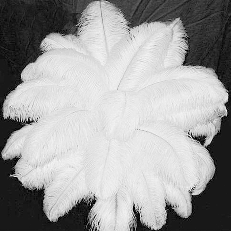 Factory direct sell ostrich feathers size 50-55cm fluffy plume white ostrich feather