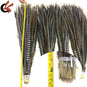 Wholesale! 90-100cm Natural Reeves Pheasant Tail Feathers