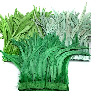 stage performance feathers 30-35 cm decolorized dyed rooster tail feather with  cloth trimming