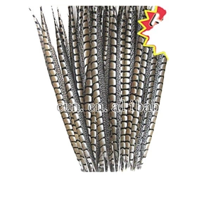 wholesale artificial feathers/pheasant feathers for sale cheap
