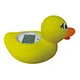 Waterproof Digital  Water duck Thermometer with Alarm Alert LED Light