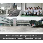 TheNorsen group