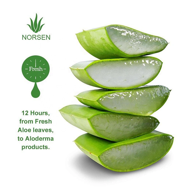 OEM Natual Organic Face Care Soothing Moisturizing Aloe Vera Gel