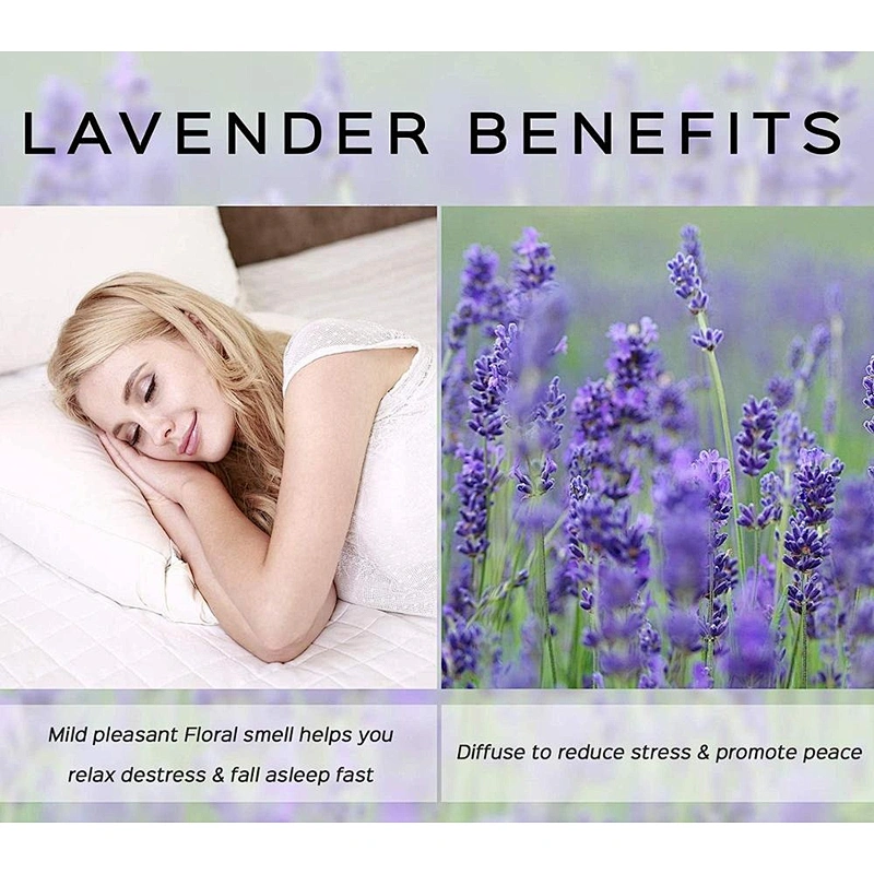 Best price sale skin care lavender essential oil young living essential oil
