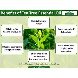 Private Label hot sale 100% pure natural organic tea tree essential oil