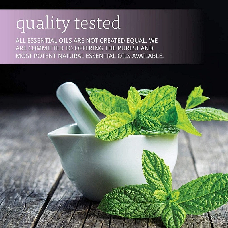 OEM Customized Box Package Essential Oils Peppermint