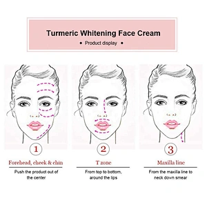 OEM Pure Natural Organic Anti Aging Turmeric Skin Whitening Face Cream