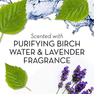 Hot selling competitive price high-ranking lavandula 250ml shower gel