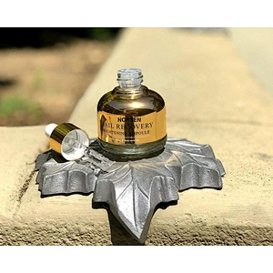 China manufacturer wholesale  brightening anti wrinkle  snail recovery face cream