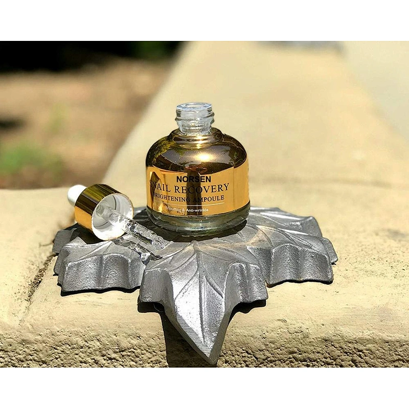 China manufacturer wholesale  brightening anti wrinkle  snail recovery face cream