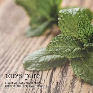 OEM Customized Box Package Essential Oils Peppermint