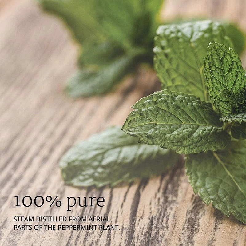 OEM Customized Box Package Essential Oils Peppermint