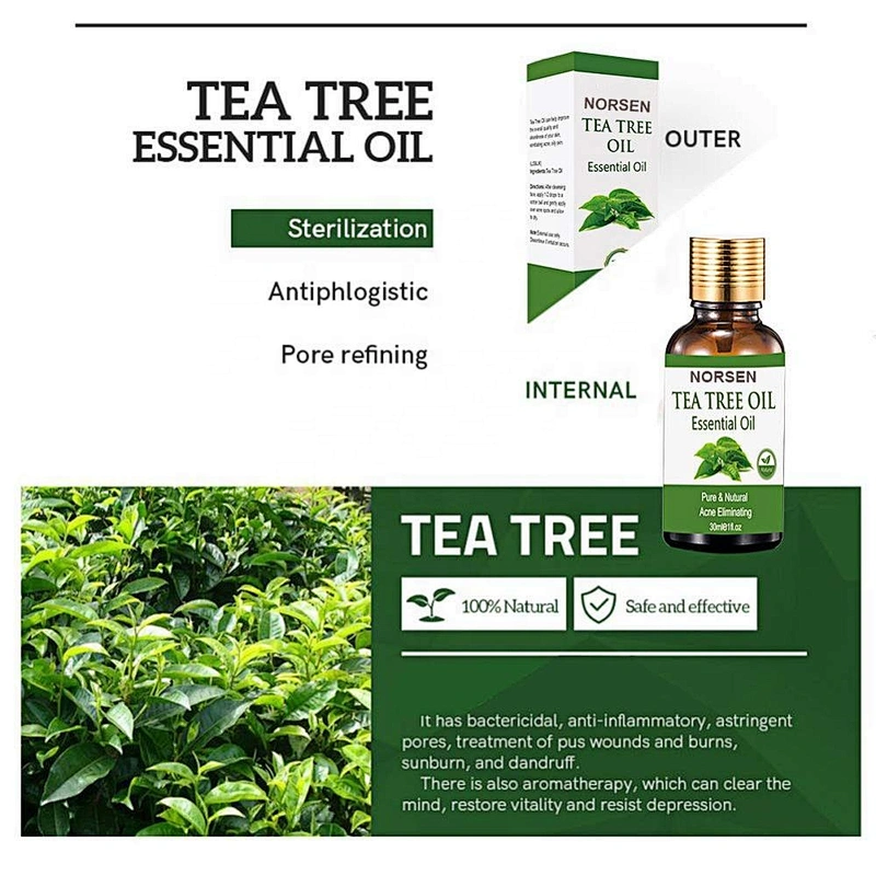 Best tea tree oil anti acne 100% natural pure tea tree essential oil