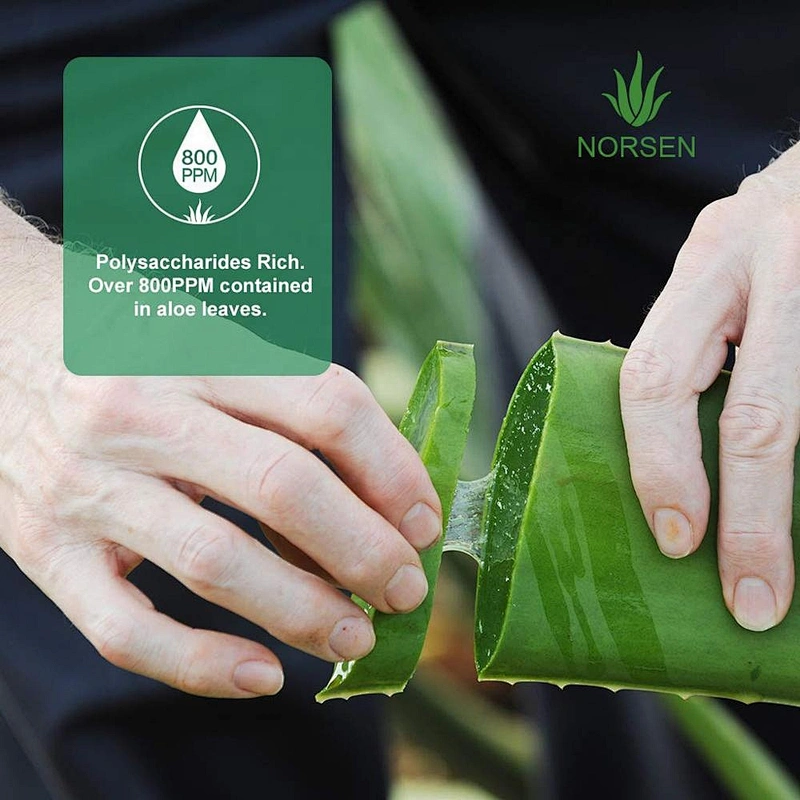 OEM Natual Organic Face Care Soothing Moisturizing Aloe Vera Gel