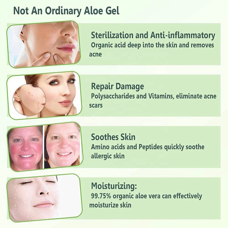 Wholesale Private Label 100% Pure Natural Organic Soothing Repair Aloe Vera Gel For Face