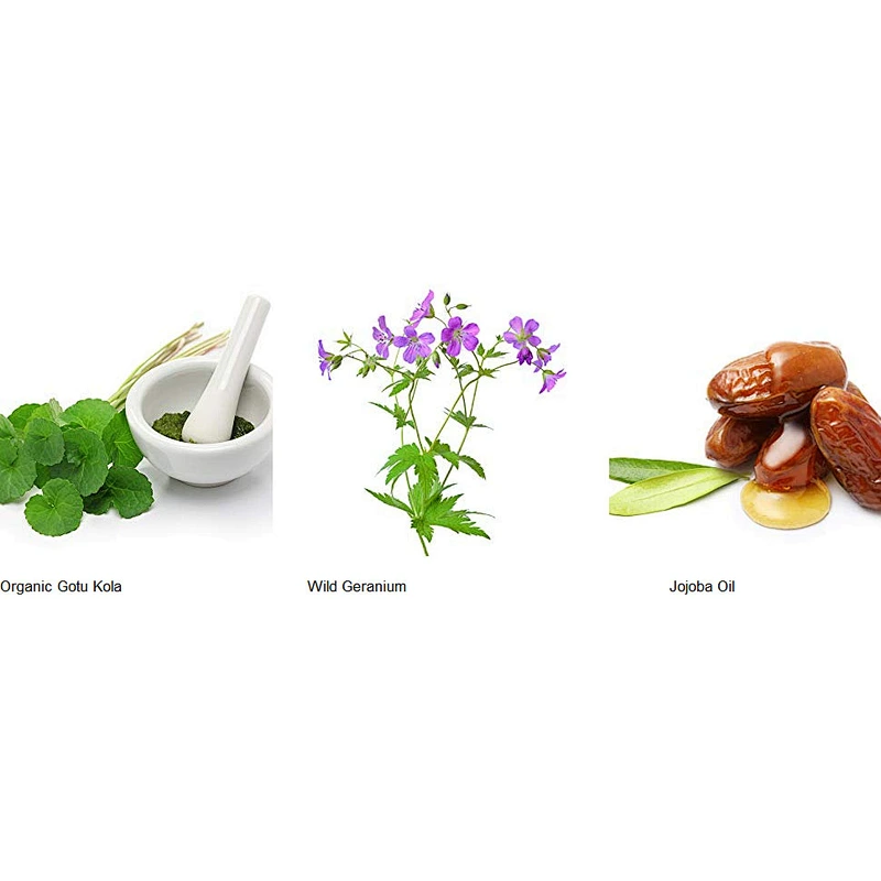 High Quality Natural Organic Skin Care Moisturizing Whitening  Body Lotion