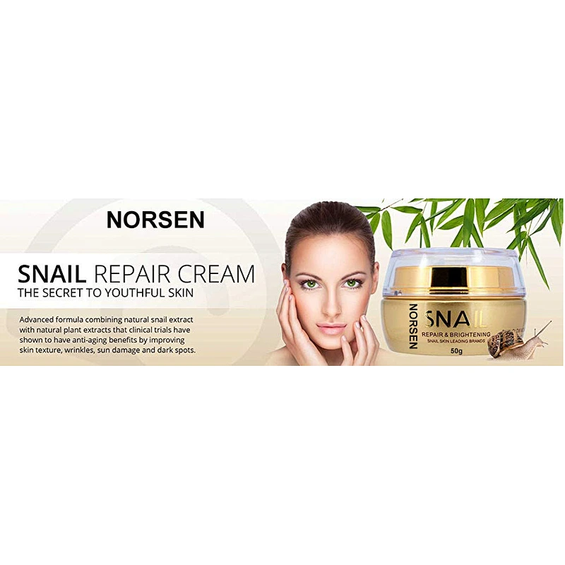 Low Price Hot Sale Whitening Snail Repair Face Cream