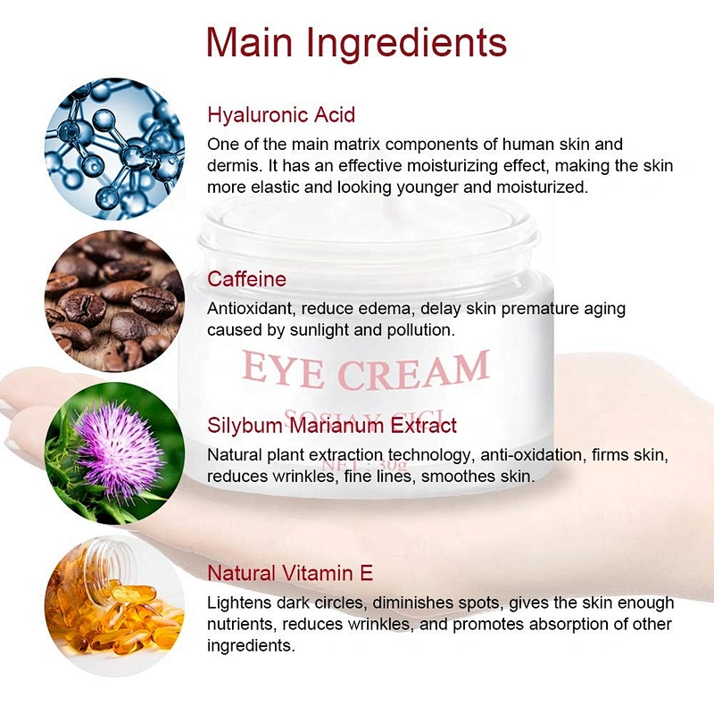 China Manufacturer Wholesale High Quality Organic Anti Aging Eye Cream
