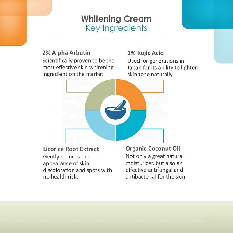 OEM Factory Wholesale Private Label Face Care Skin Whitening Face Cream