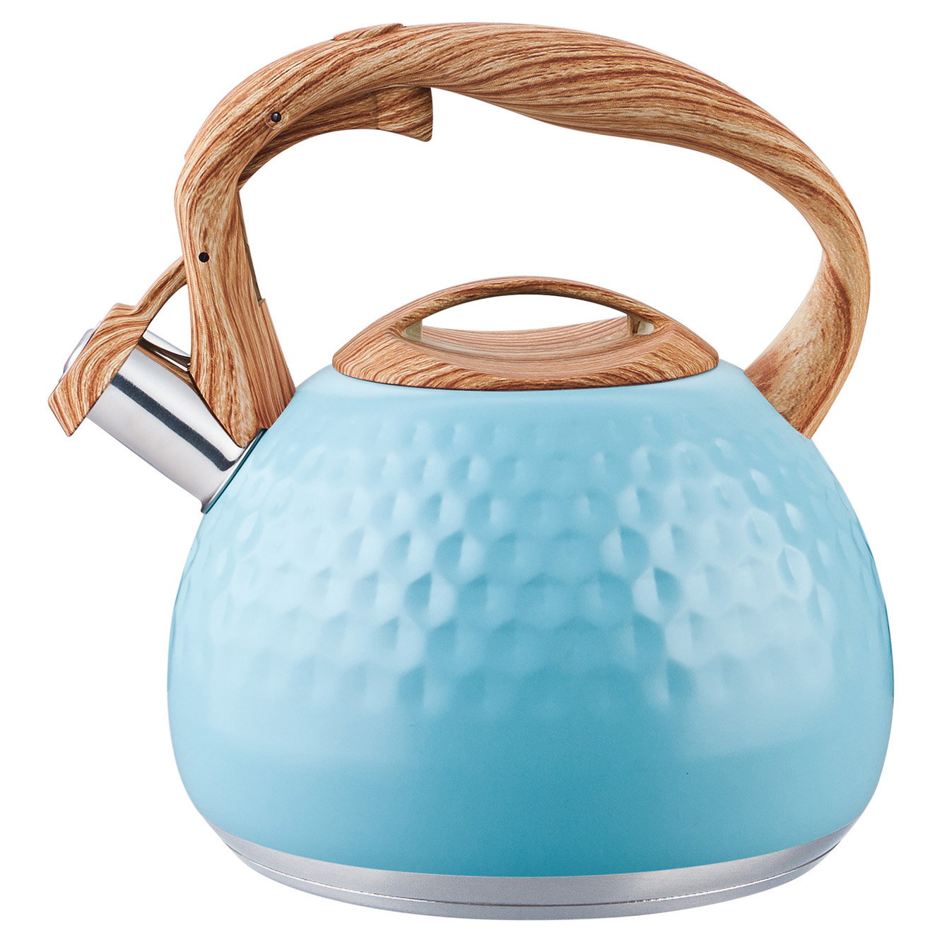 stainless steel whistling kettle