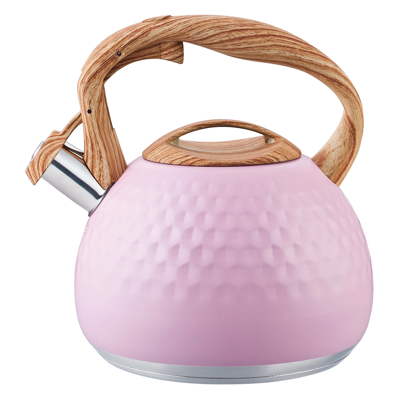 stainless steel whistling kettle