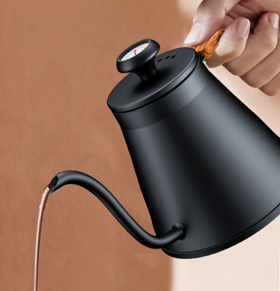stainless steel coffee kettle