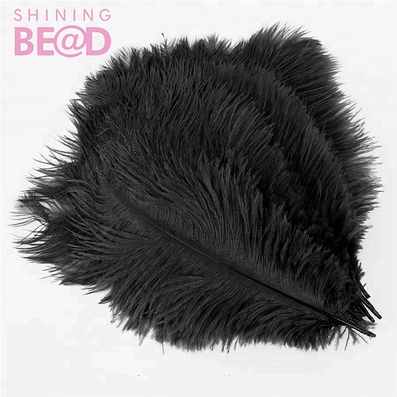 Beautiful natural ostrich feather embellished with feathered decoration