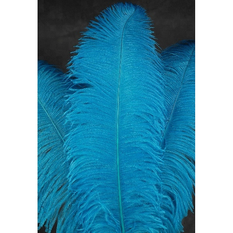 colorful hot sale ostrich feather for party