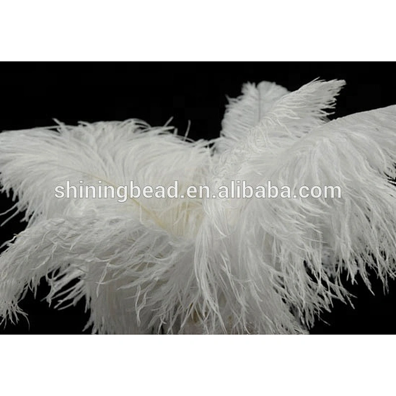 colorful decoration ostrich feather