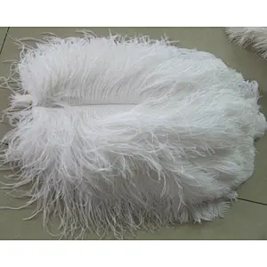 Factory hot sale new design   fashionable colorful party ostrich feather dyed pattern