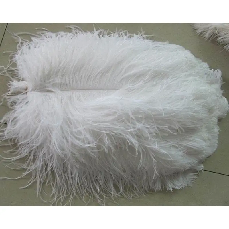 Factory hot sale new design   fashionable colorful party ostrich feather dyed pattern