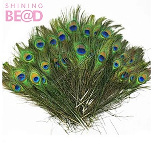 peacock feather in bulk for wholesale