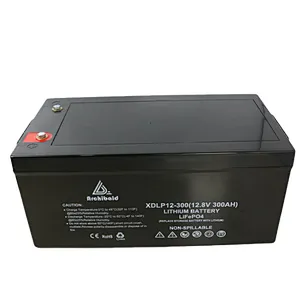 12V 300ah Lifepo4 Battery best lithium battery more than 3500 Cycles High Capacity Long Life Lithium ion