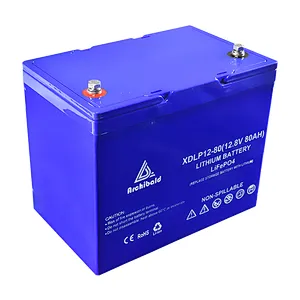 12V 80ah Lifepo4 Lithium Battery 3500+ Cycles for Electric Golf Buggy High Capacity Long Life