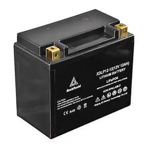 12V 12ah Lifepo4 Battery Pack high drain lithium ion battery
