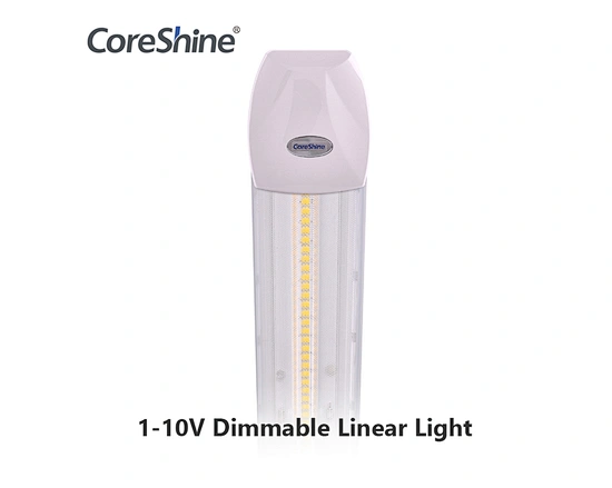 led linear lamp
