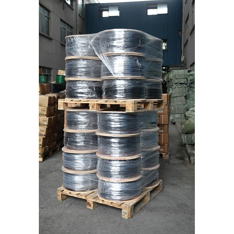 Factory price  Anti UV  Polyester Wire for Greenhouse Agricultural Use Supporting Screen monofilament Line  polyester wire