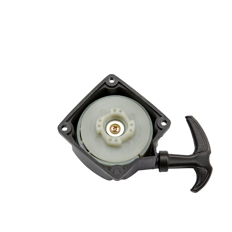 Starter Assy