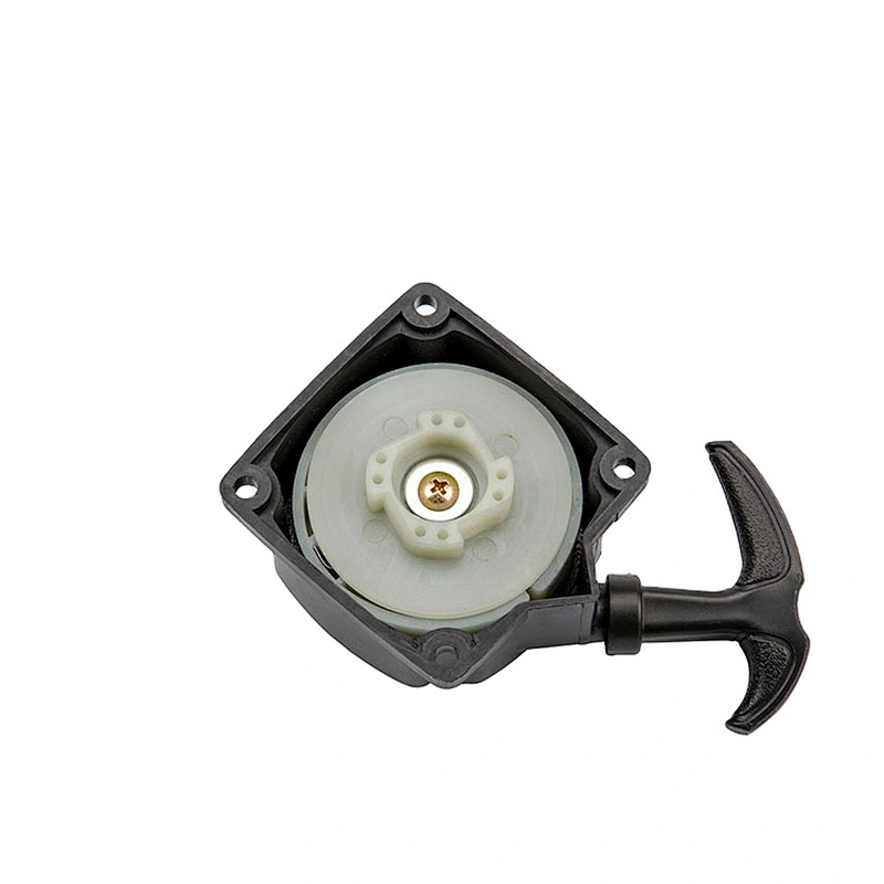 Starter Assy