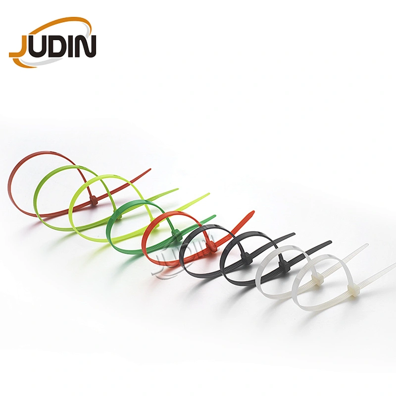 Hot Sale Nylon Heat Resistant Customized Durable  Cord Ties Self-locking Colorful Nylon Cable Ties