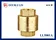 EAC Brass Spring Check Valves