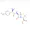amoxycillin