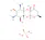 spectinomycin