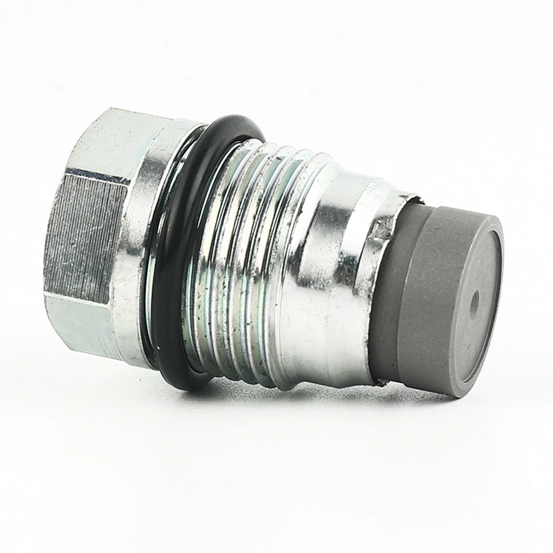 High Quality OEM 1110010012 Fuel Rail Pressure Relief Valve Sensor Auto Parts