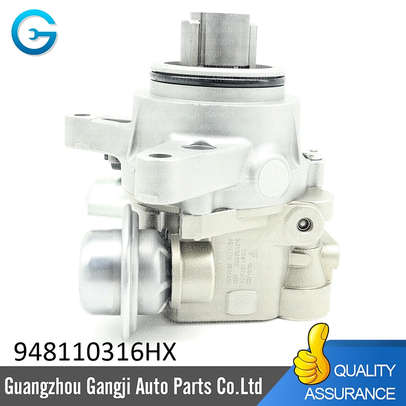 Wholesale Factory Direct Sales 94811031506 Fuel Pump For Porsche Cayenne