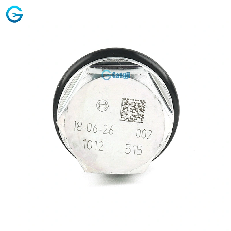 High Quality OEM 1110010012 Fuel Rail Pressure Relief Valve Sensor Auto Parts