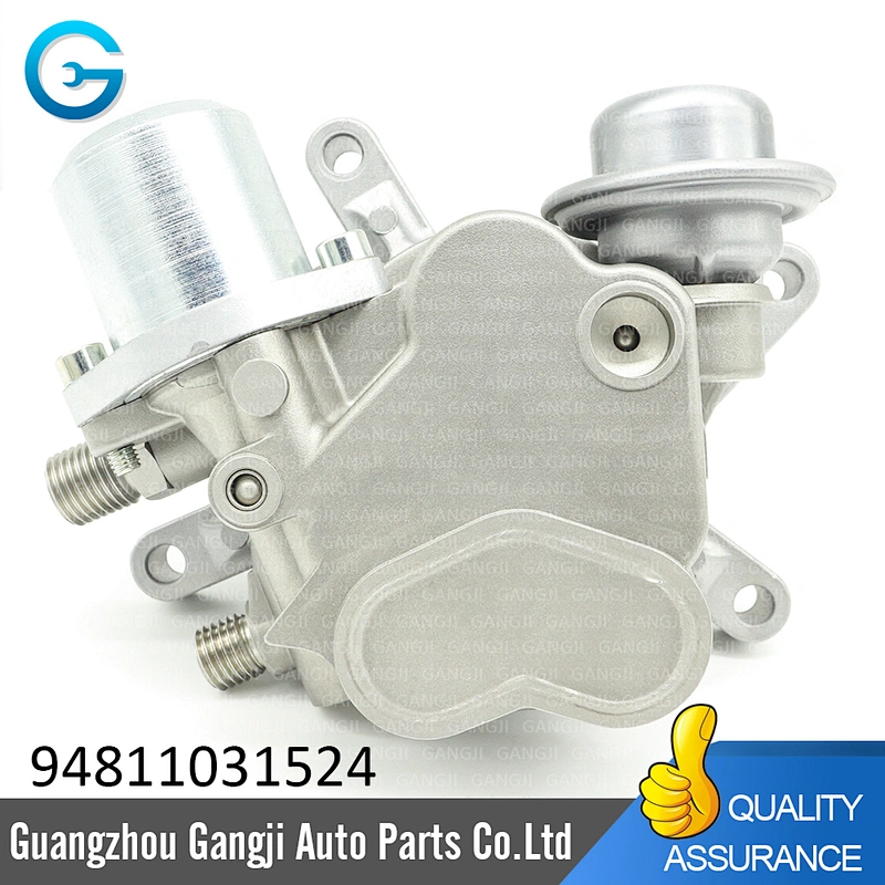 Fuel Injection Pump Spare Parts 94811031524 Fuel Pump For Porsches Panameras