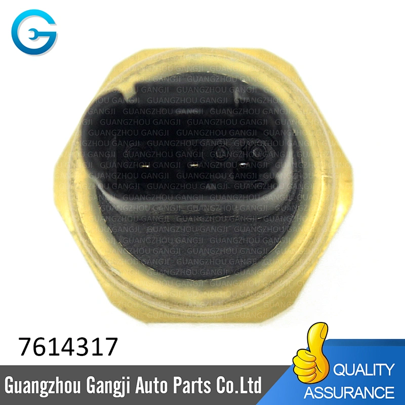 Low Pressure Oil Fuel Sensor OE 7614317 13537614317