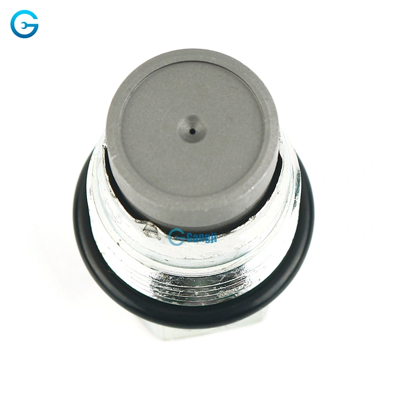 High Quality OEM 1110010012 Fuel Rail Pressure Relief Valve Sensor Auto Parts