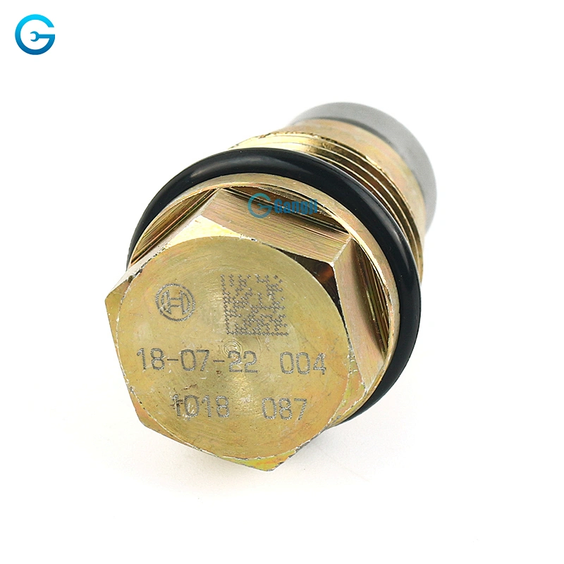 High Quality OEM 1110010018 Fuel Rail Pressure Relief Valve Sensor for Honda Fords